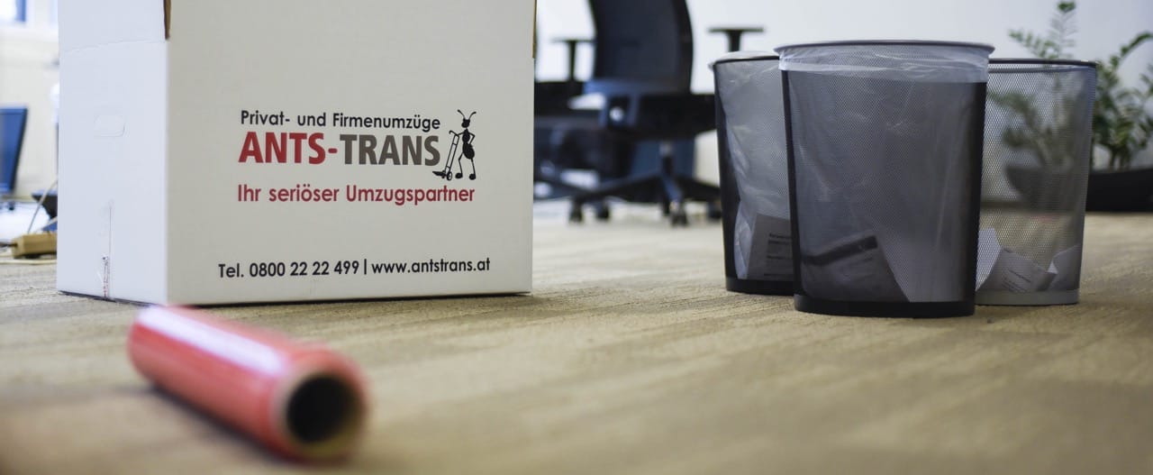 umzugsinformationen ants-trans