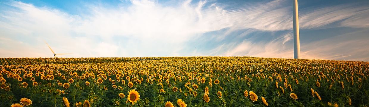 Kombinierter Verkehr zur Schonung der Umwelt 🌍