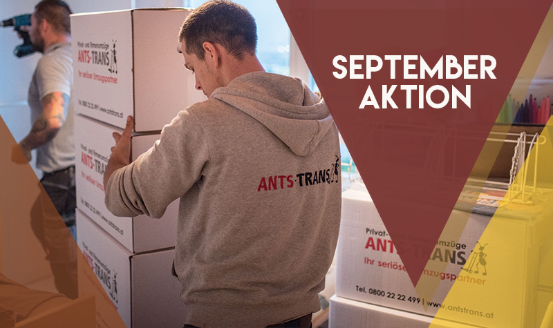 September-Aktion!! 